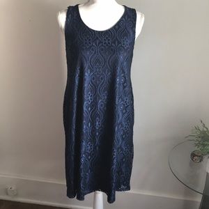 Pinkblush Maternity Navy Blue Lace Dress